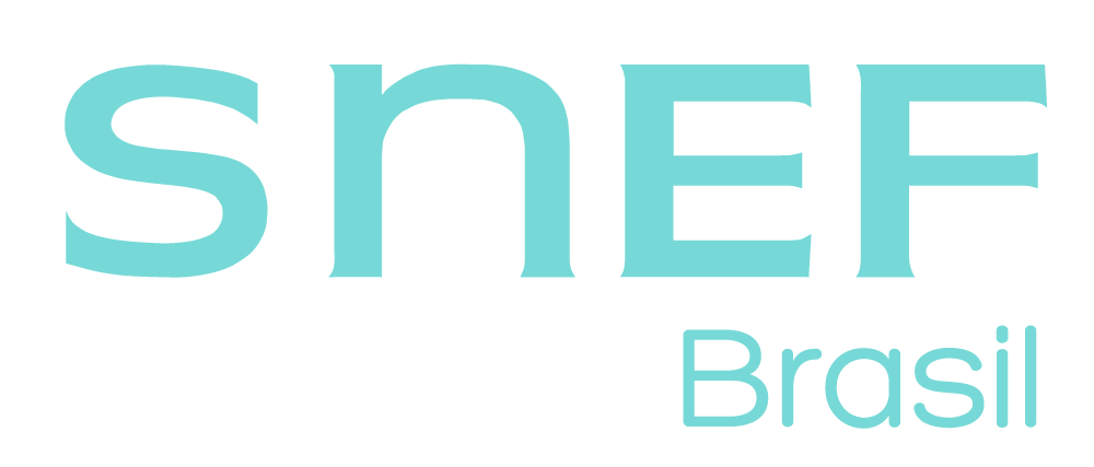 SNEF Group