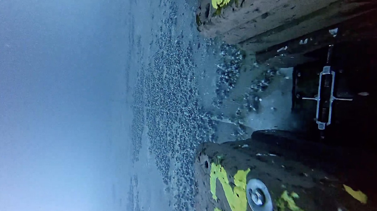 Limpeza de casco In-water